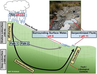 An examination of protist diversity in serpentinization-hosted ecosystems of the Samail Ophiolite of Oman